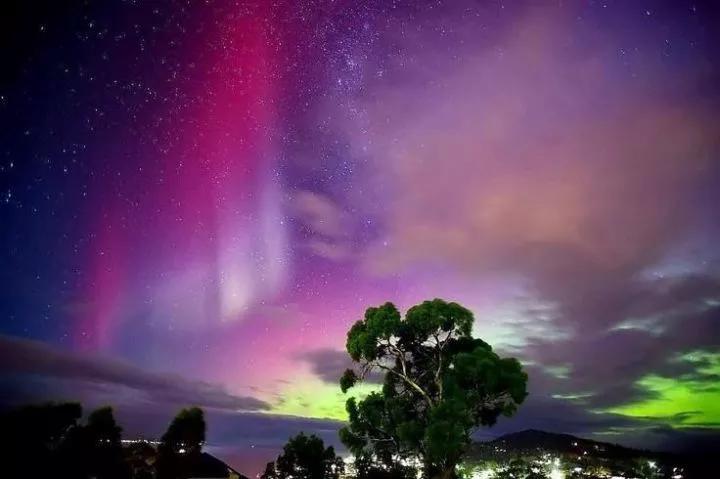 澳大利亚兔子入侵,澳洲兔子入侵对澳洲的影响