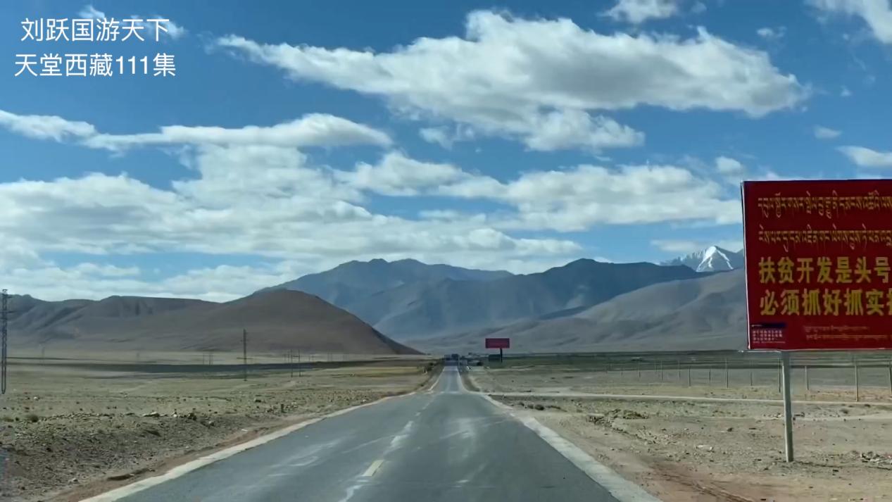 天堂*藏西**-好吃的草成了扶贫开发的头号工程，牛羊就快乐起来啦