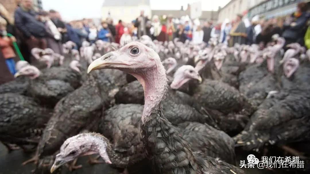 在希腊应该买些什么东西,在希腊买什么