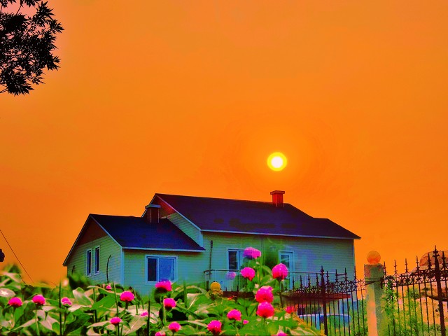 家庭教育对孩子的影响鲜明对比,中国式家庭教育孩子为什么叛逆