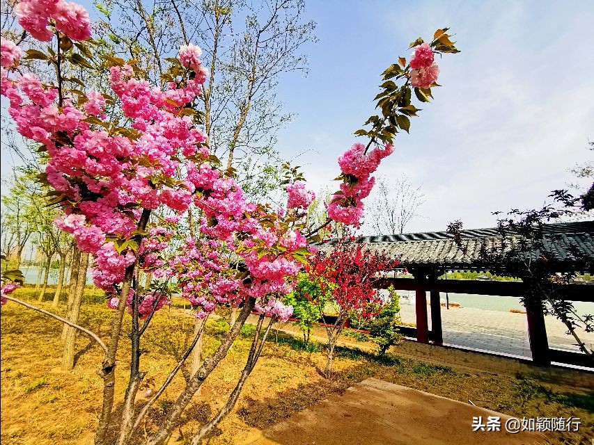 开封西湖之滨,开封西湖即景