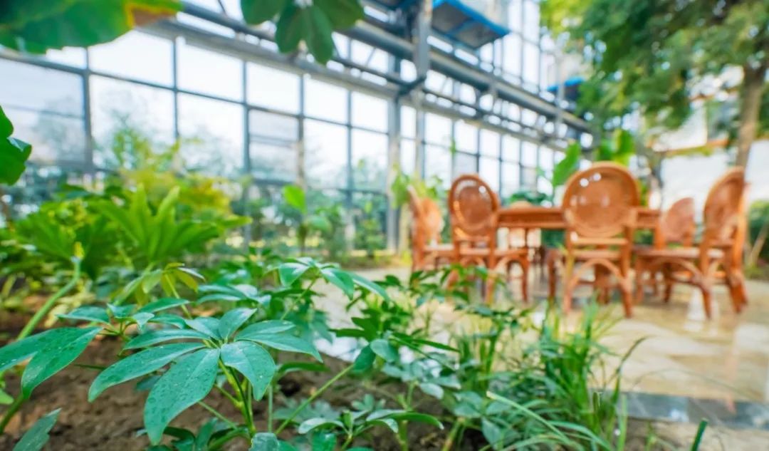 良安祥和庄园,古城祥和庄园