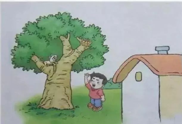 一二年级看图写话写作技巧,看图写作文二年级方法