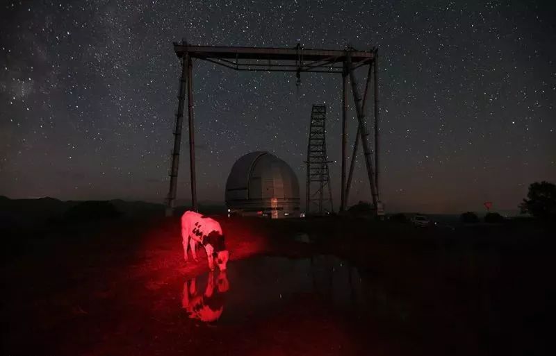 世界新闻摄影大赛获奖作品,国际新闻摄影