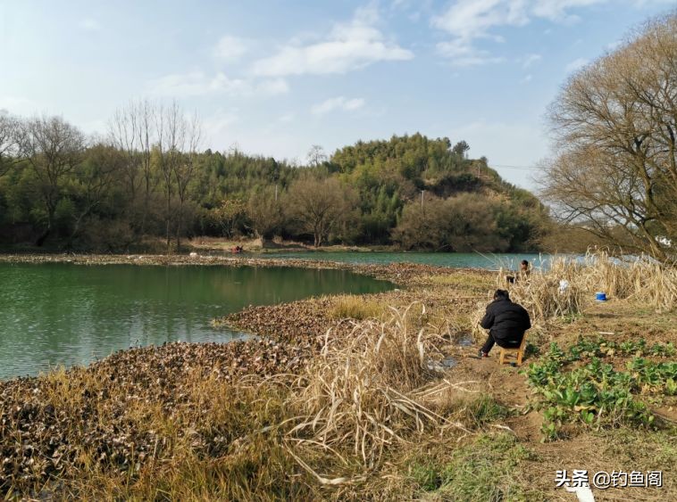 钓到大鲫鱼并非偶然,野钓钓到大鱼的几率大吗