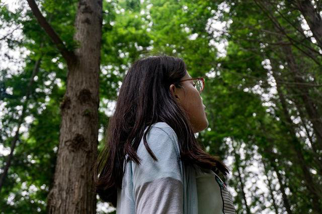 开封自驾日照途中好玩的地方 (开封附近一日游自驾游推荐)