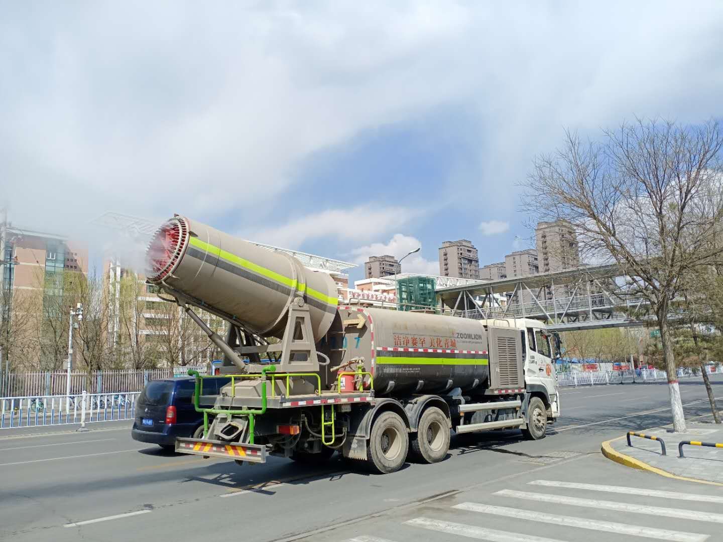 “城市黄玫瑰绽放新英姿”