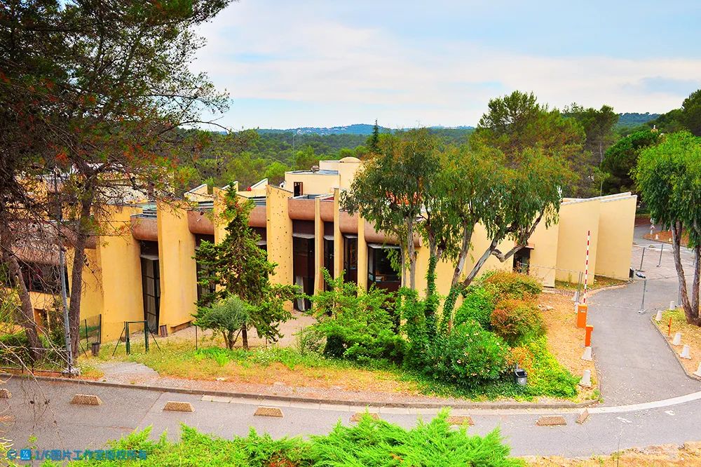 华高莱斯特点,华高莱斯是做什么的