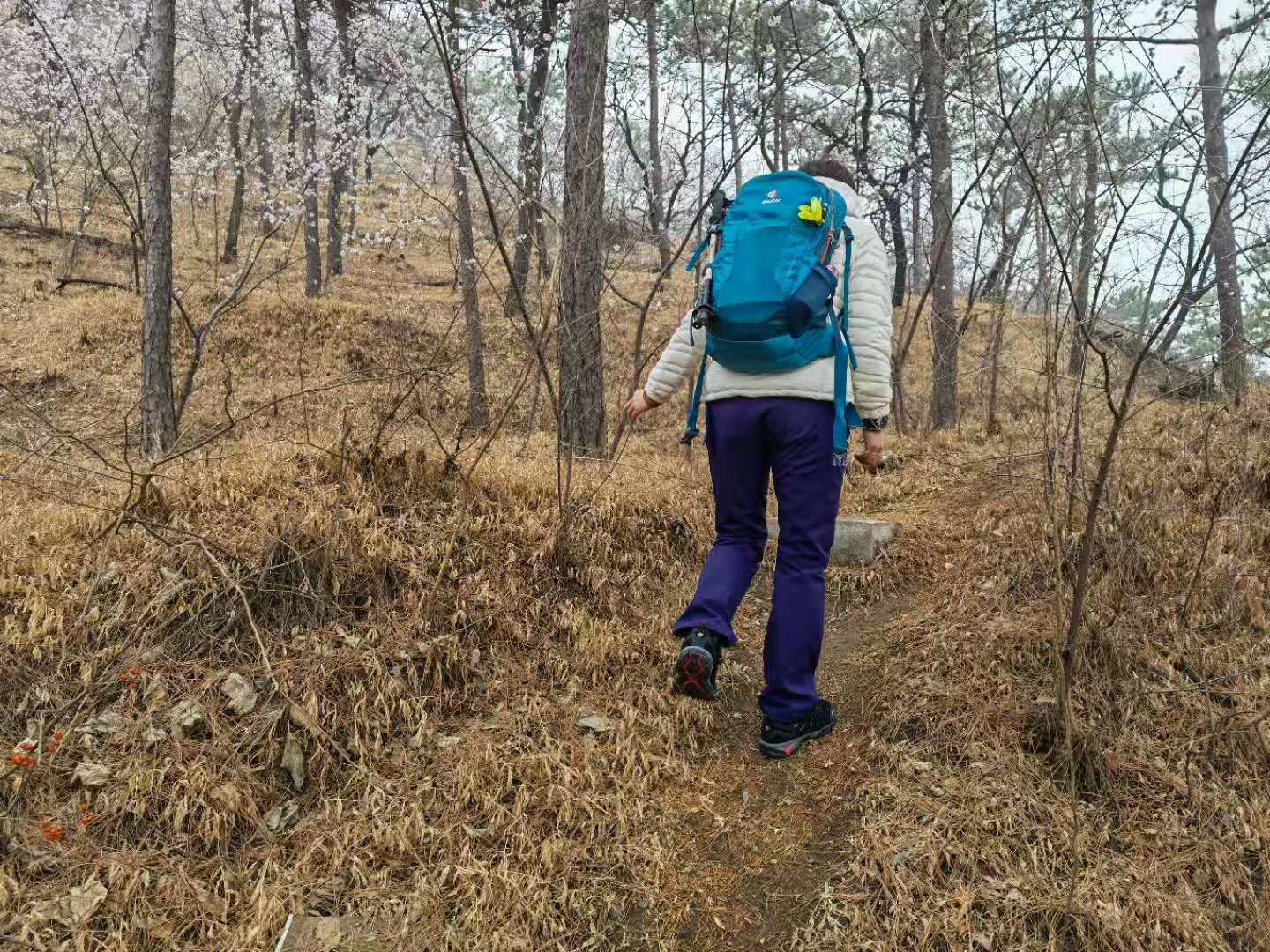 图途户外透气网鞋男鞋,图途户外登山鞋子男款