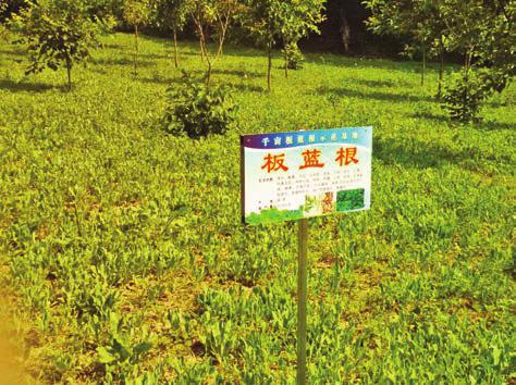 四个聚焦助力脱贫攻坚,脱贫攻坚一达标两不愁三保障