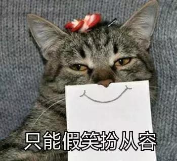 养了三年的猫突然想攻击我,养了两年的猫对我特别防备