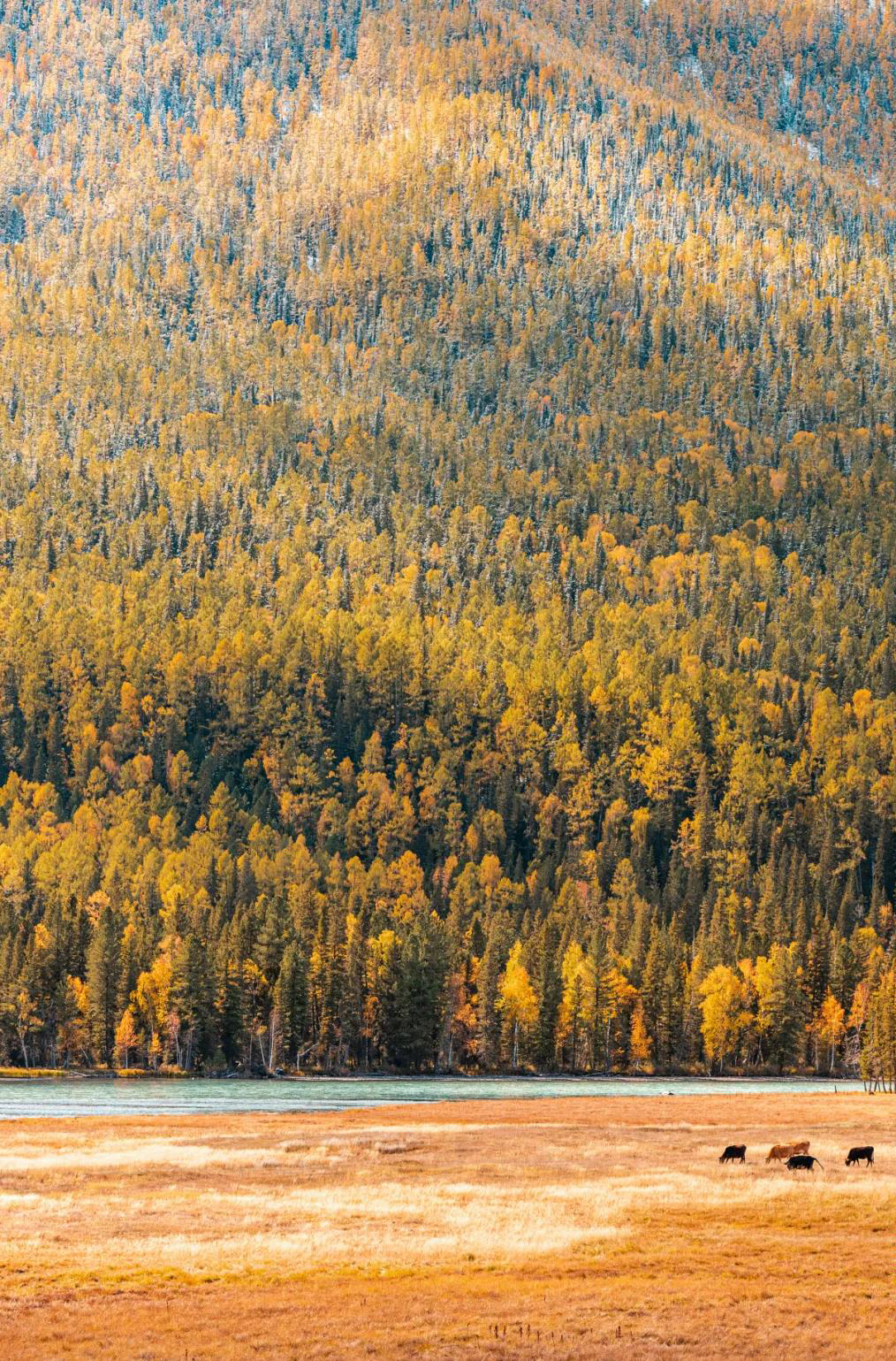 秋天的简短英文诗,关于秋天的经典英文诗