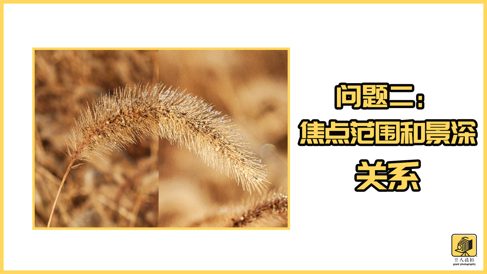 摄影基础光圈和景深的区别,摄影新手必须掌握的光圈用法