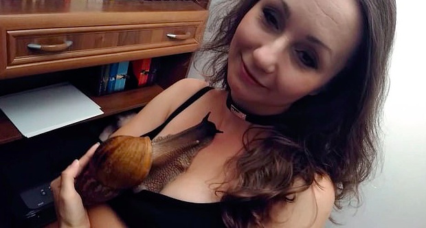 巨型蜗牛原来长这样,养一只巨型的非洲大蜗牛