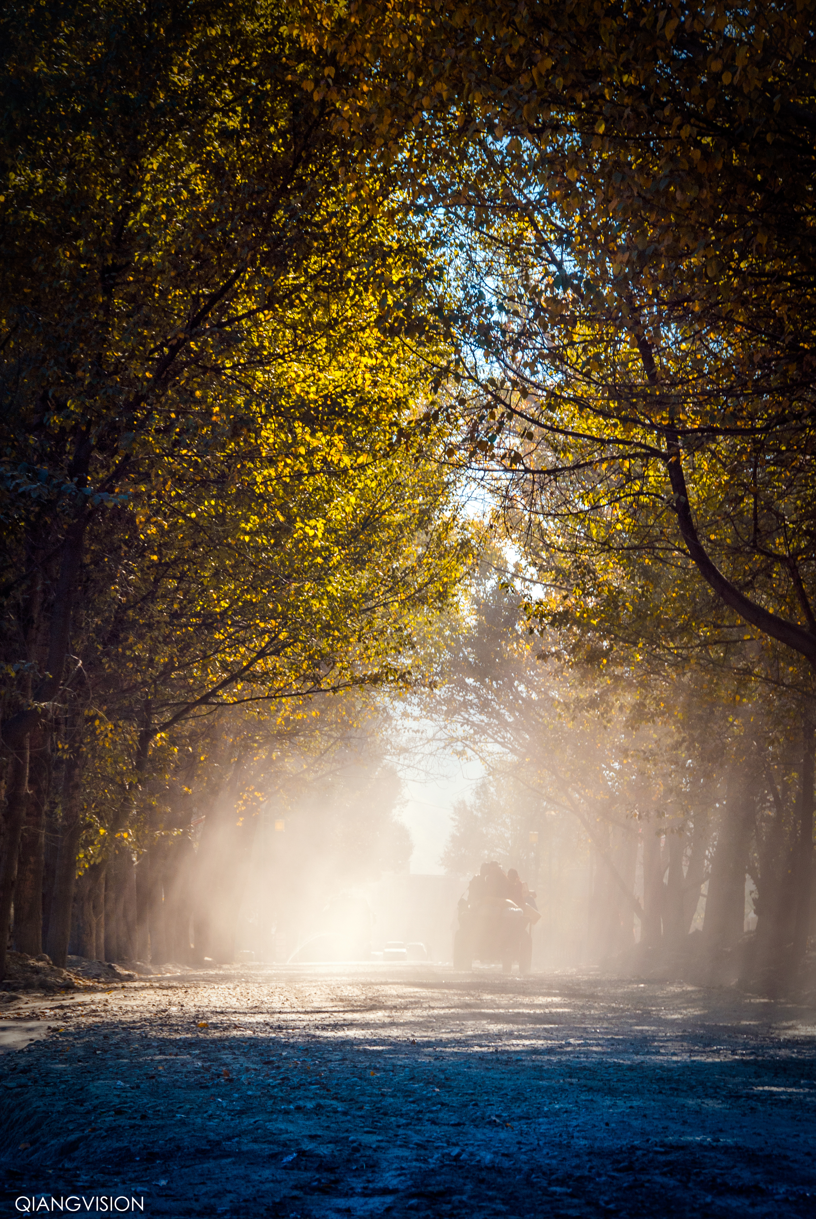 成都周边秋天美到极致的秋色,成都近郊游最美秋色