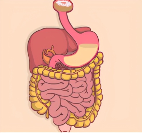 肠鸣闹肚子恶心,肠鸣频繁是什么原因引起的