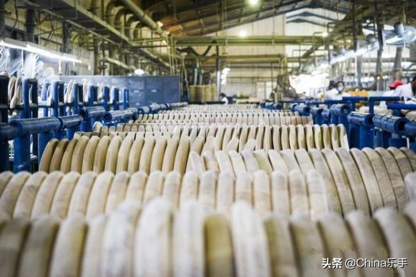 跟随帝声乐器参观世界著名吉他制造商之一Cort印度尼西亚工厂