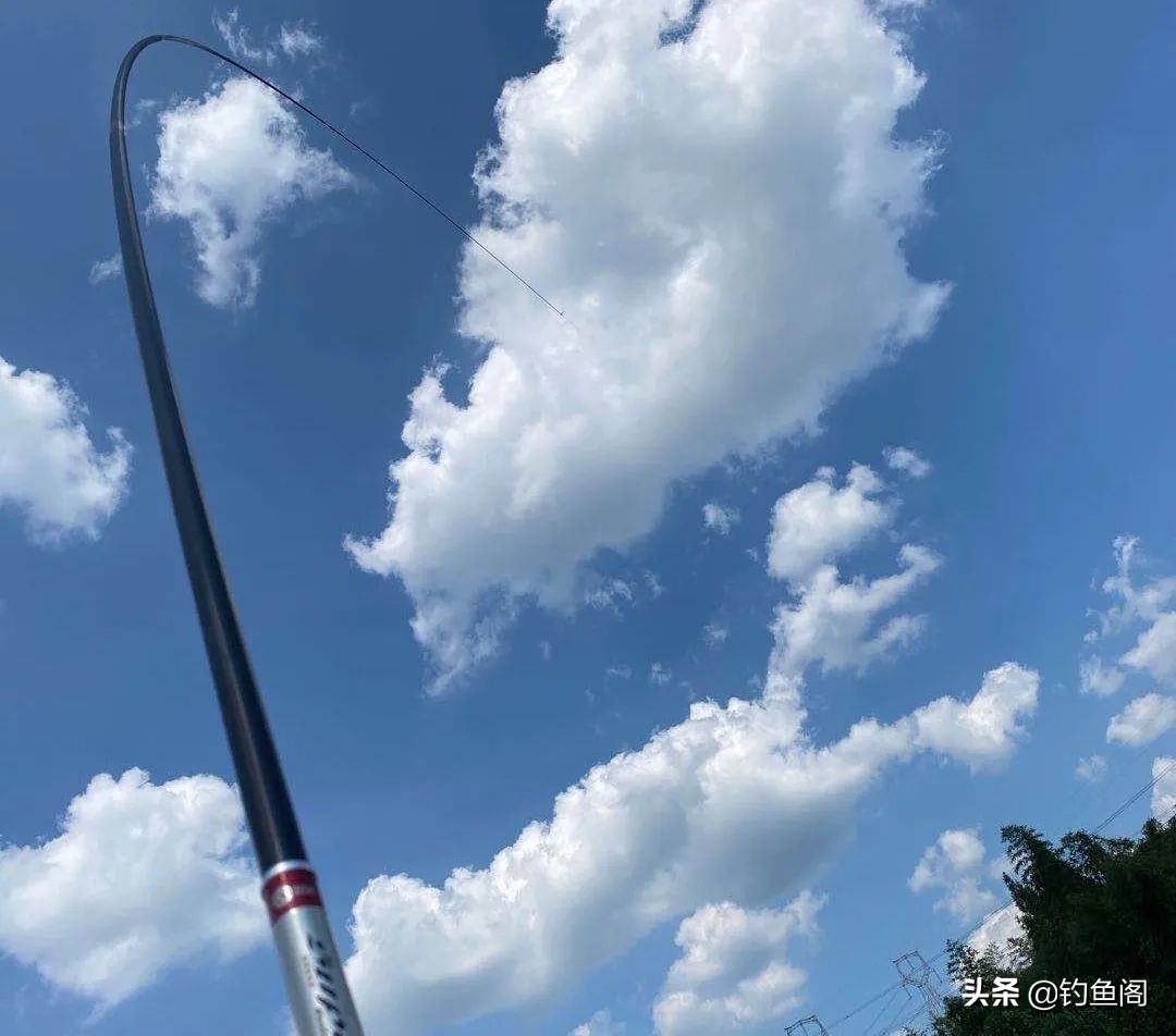 粗钩大线也未必靠谱!遛大鱼你不可不知的2个重要技巧