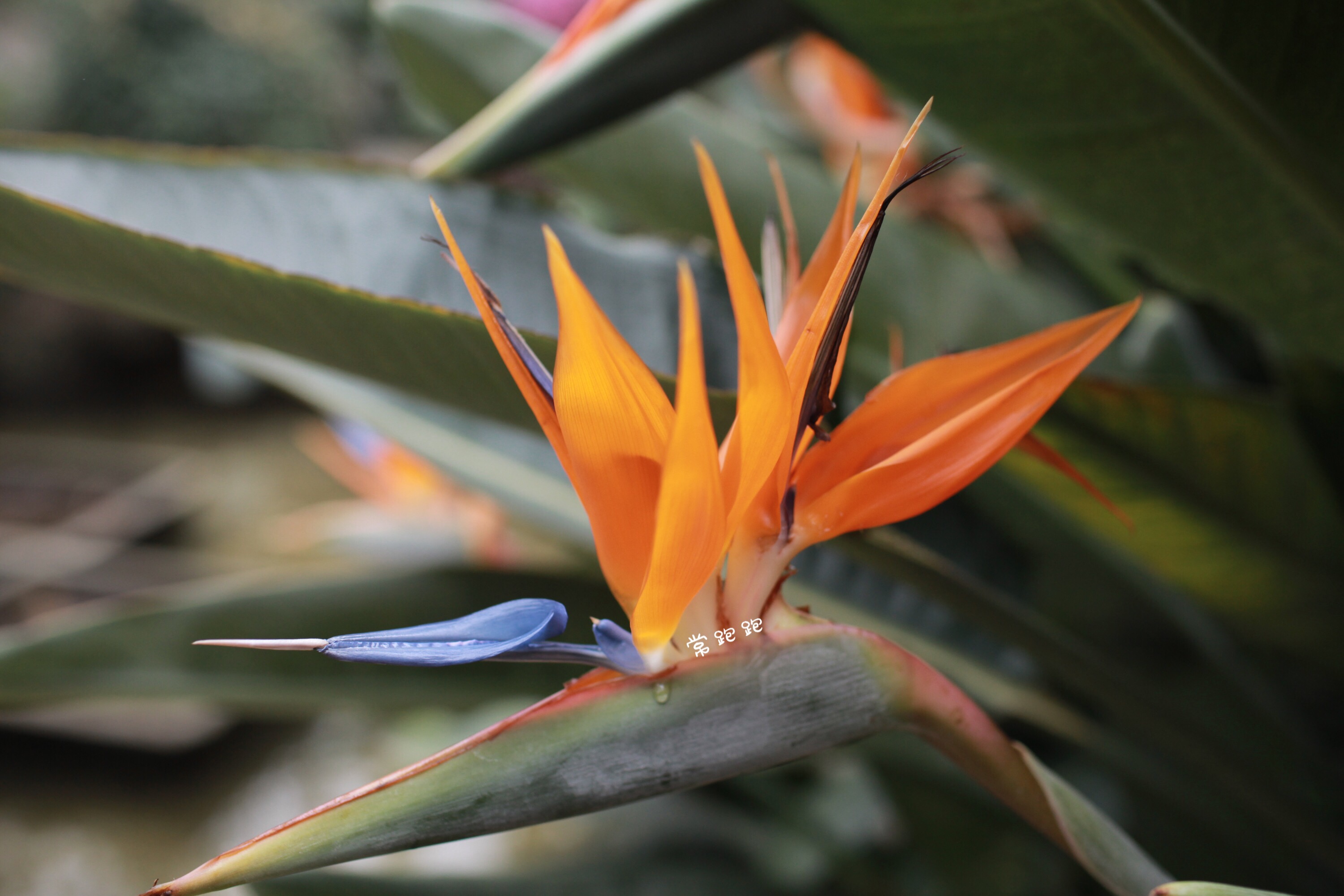 倚山傍水好地方,倚山傍水