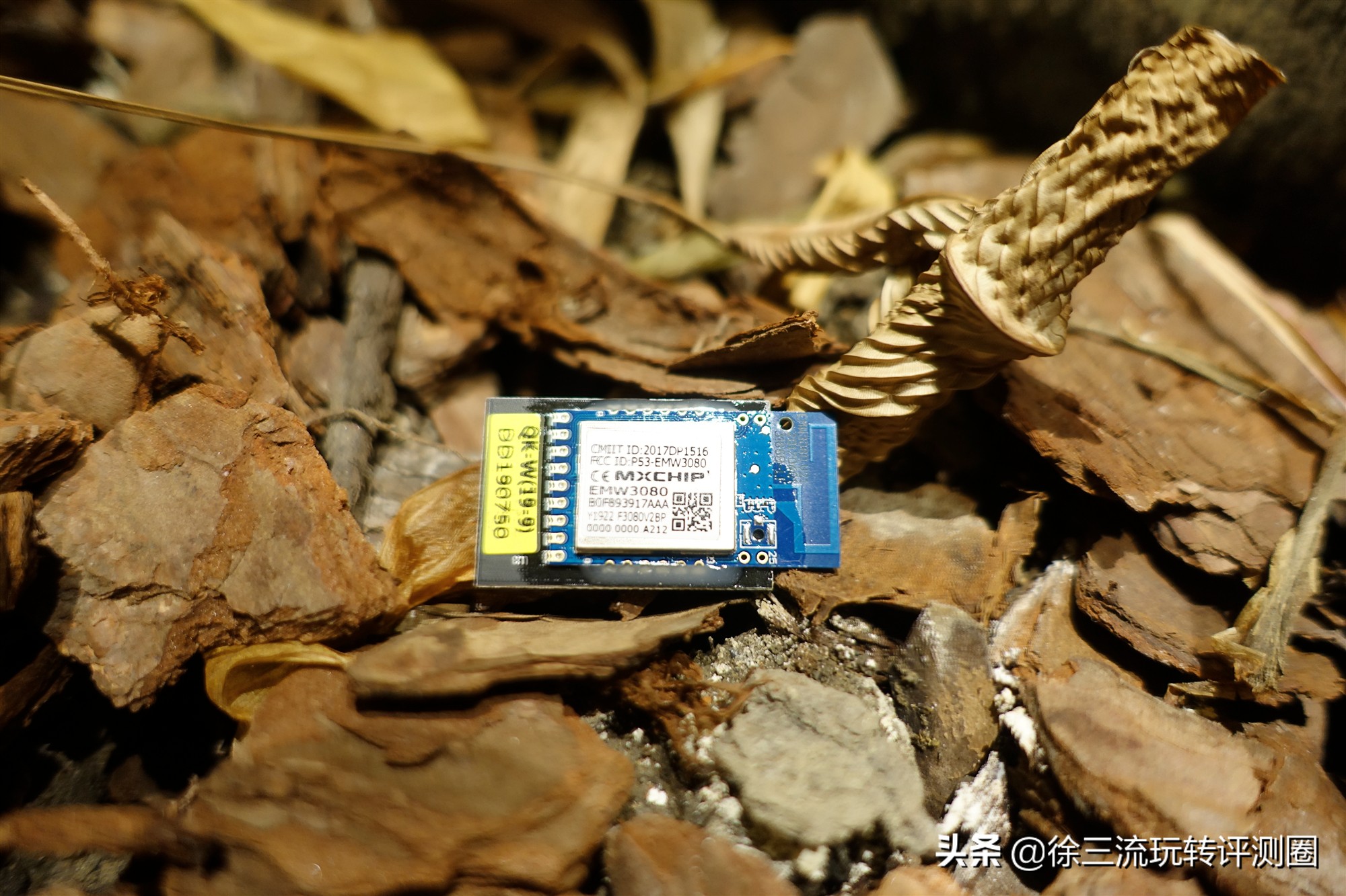 普通指纹锁和天猫精灵联动,天猫精灵蓝牙指纹锁