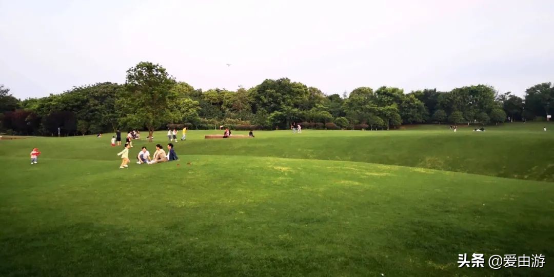 疫情后旅行新玩法,“州”游之衢州四天三夜