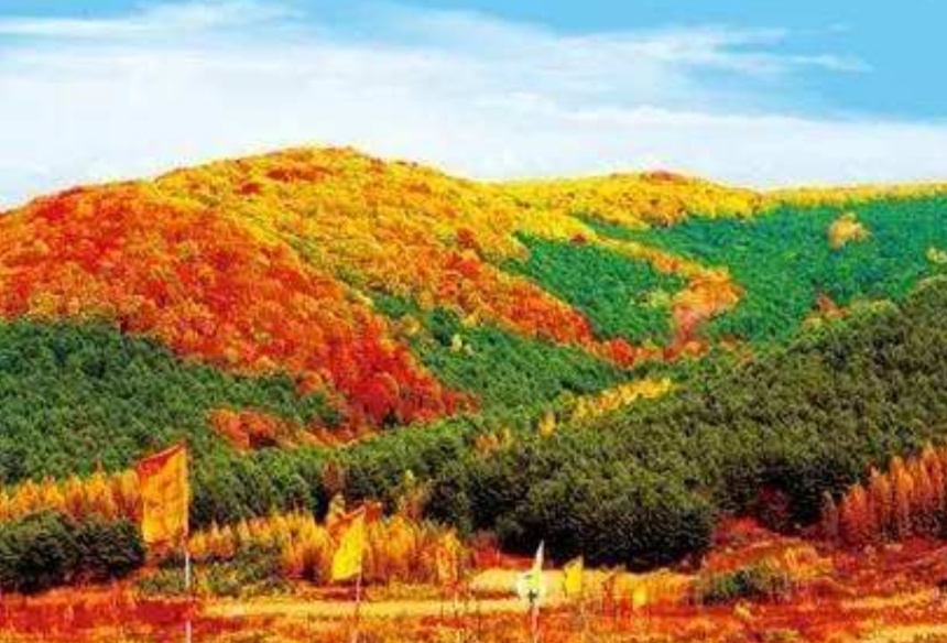 延边黄牛肉是中国五大名牛之首吗,中国有名的黄牛产地