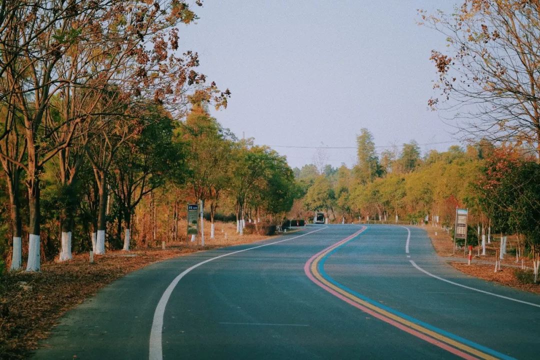 推荐秋冬毛衣高领,秋冬必备毛衣推荐