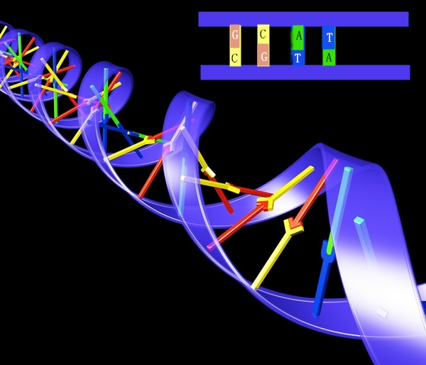 如何正确看待转基因技术和产品？谈“转”色变不应该