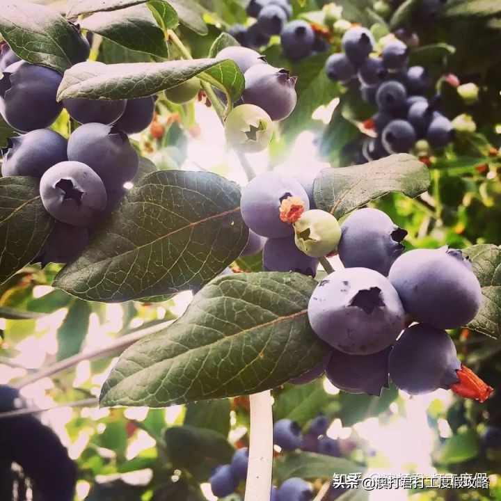 十大最累最赚钱的工作,哪些比较赚钱的工作可以在家做