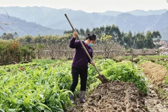 只要机器热起来，就有希望！