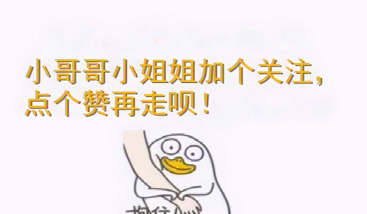 猫咪打441怎么才能不反抗,猫咪不喜欢主人亲近但是不反抗