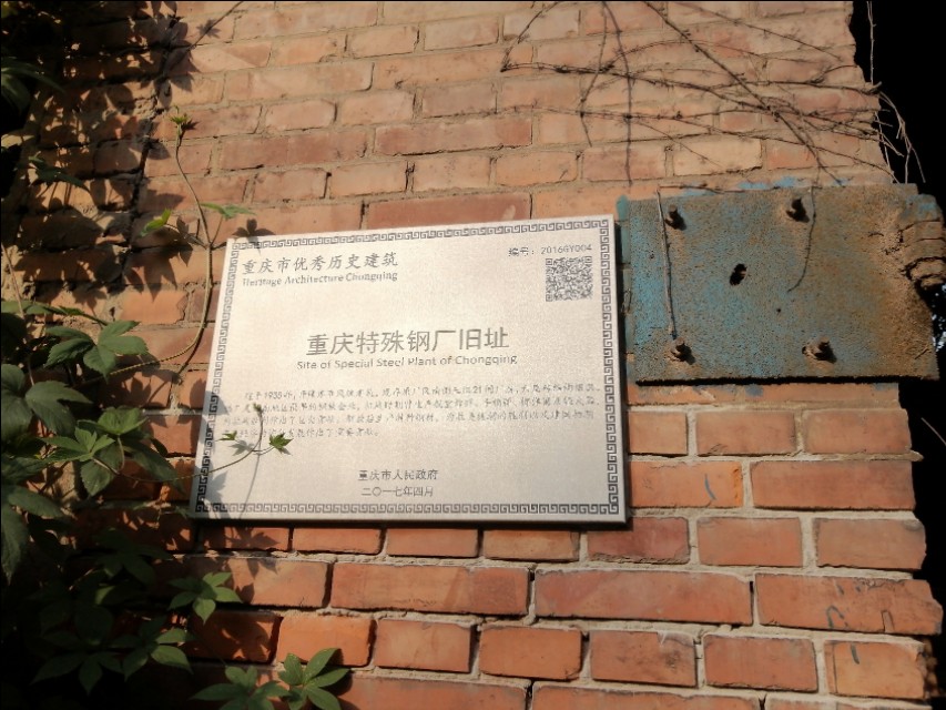 扫街日记100篇,扫街日记视频