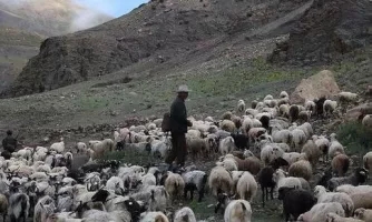 致敬乡村手艺人的视频,致敬乡村手艺人视频