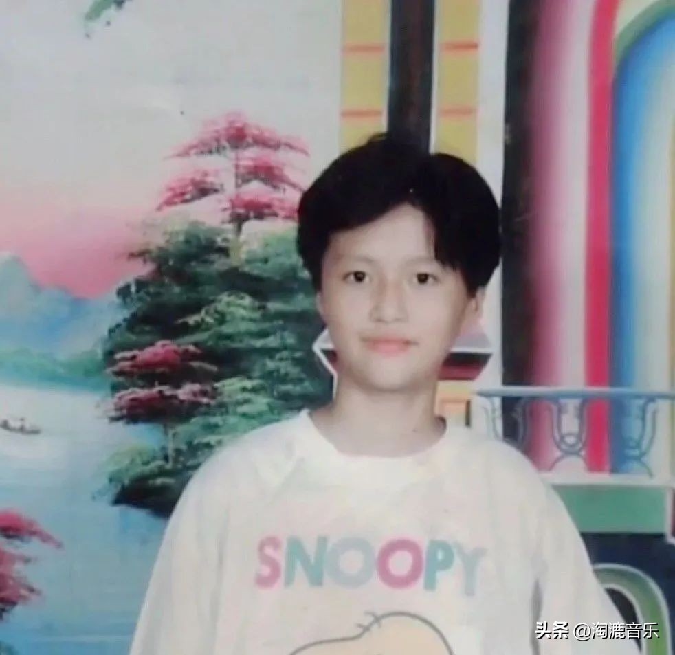 谭维维为什么不火,谭维维怎样了