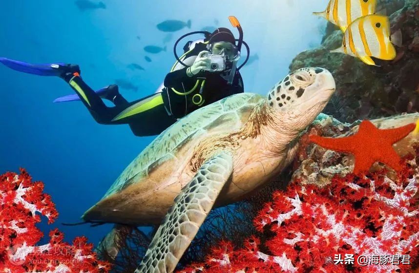 斯里兰卡最新购物攻略视频播放,斯里兰卡购物攻略和必买清单