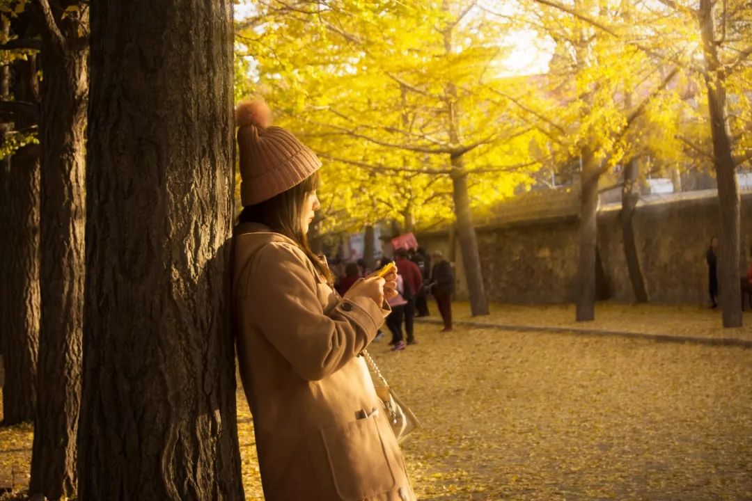 想去大连了,还有人想去大连吗