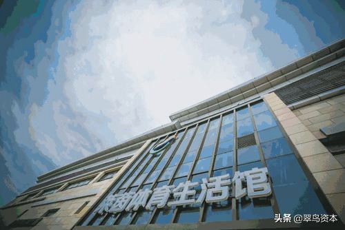 莱茵体育最近资金流入情况,莱茵体育主力资金