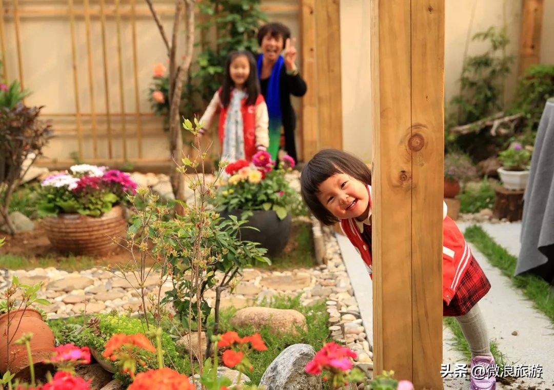 白鹭湾的“选美大赛”，谁是你心中最美的“姑娘”