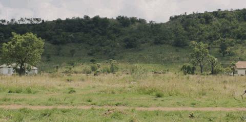 残奥会有哪些感人的瞬间,残奥会开幕式精彩回顾