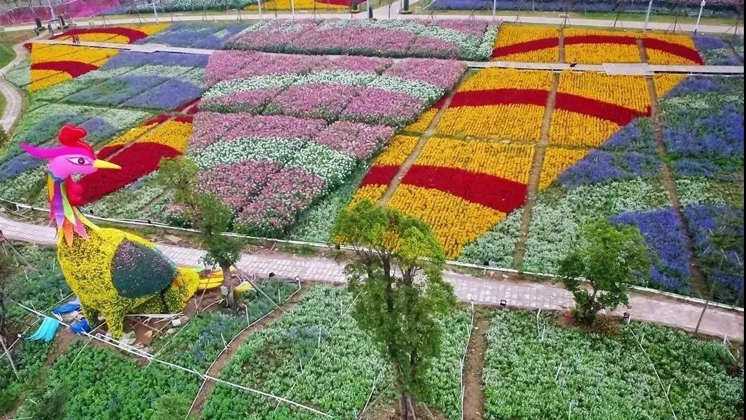 精彩继续！12月广东畅游指南，为你的2018划上圆满句点