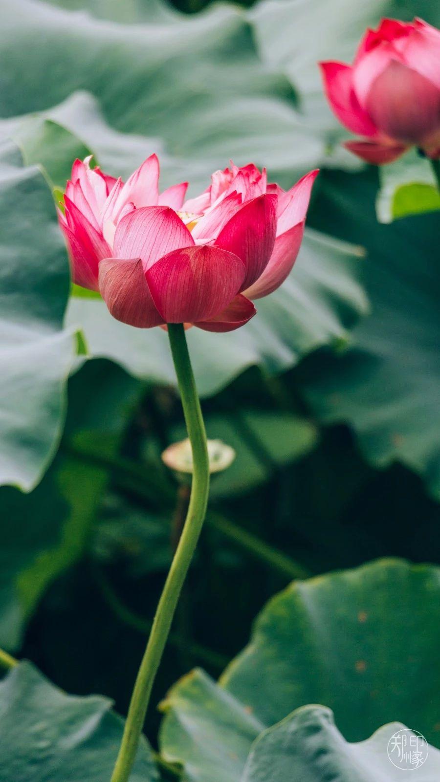 娴庡崡骞寸粓鎬荤粨鎶ュ憡,鍚堣偉骞寸粓鎬荤粨鎶ュ憡