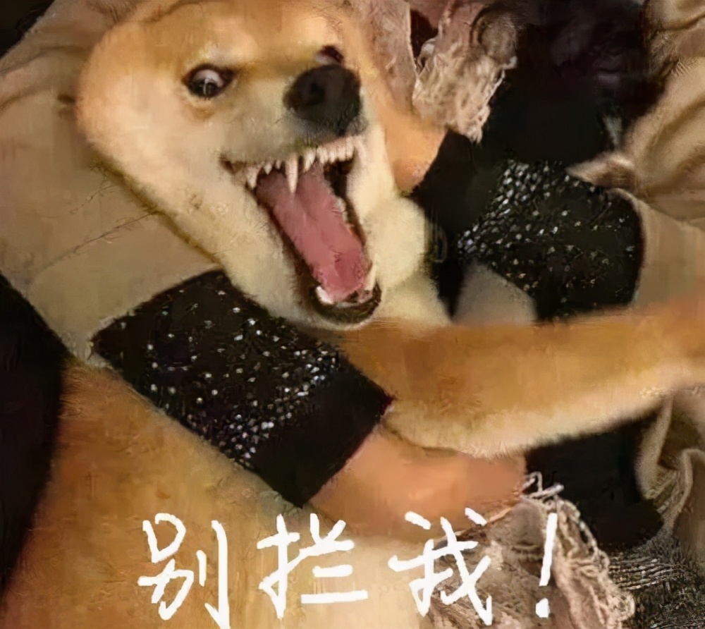 吃在“远航大酒楼”，绵阳学生的最高伙食标准