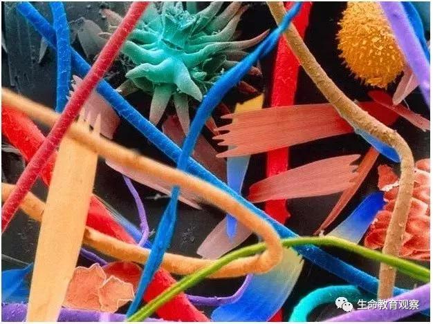 看完后，整个人都有点不对劲了（传播生物知识）