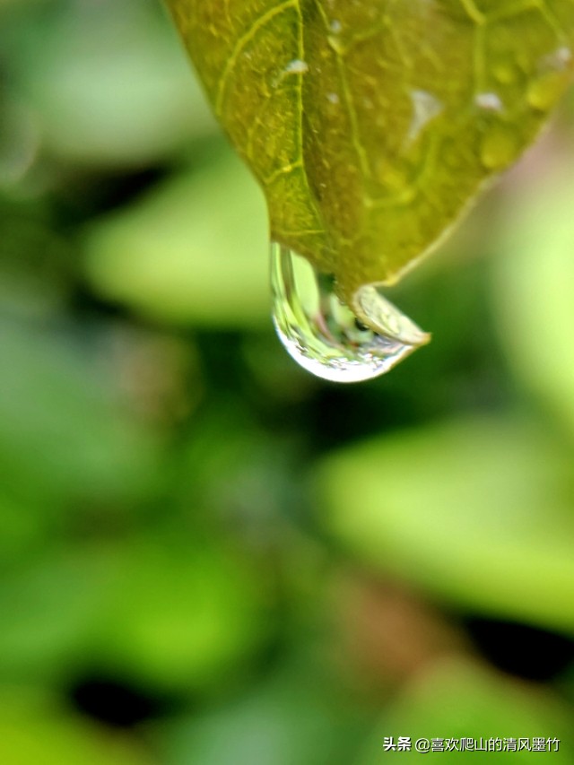 广安方坪乡，寻找传说中的朝阳洞