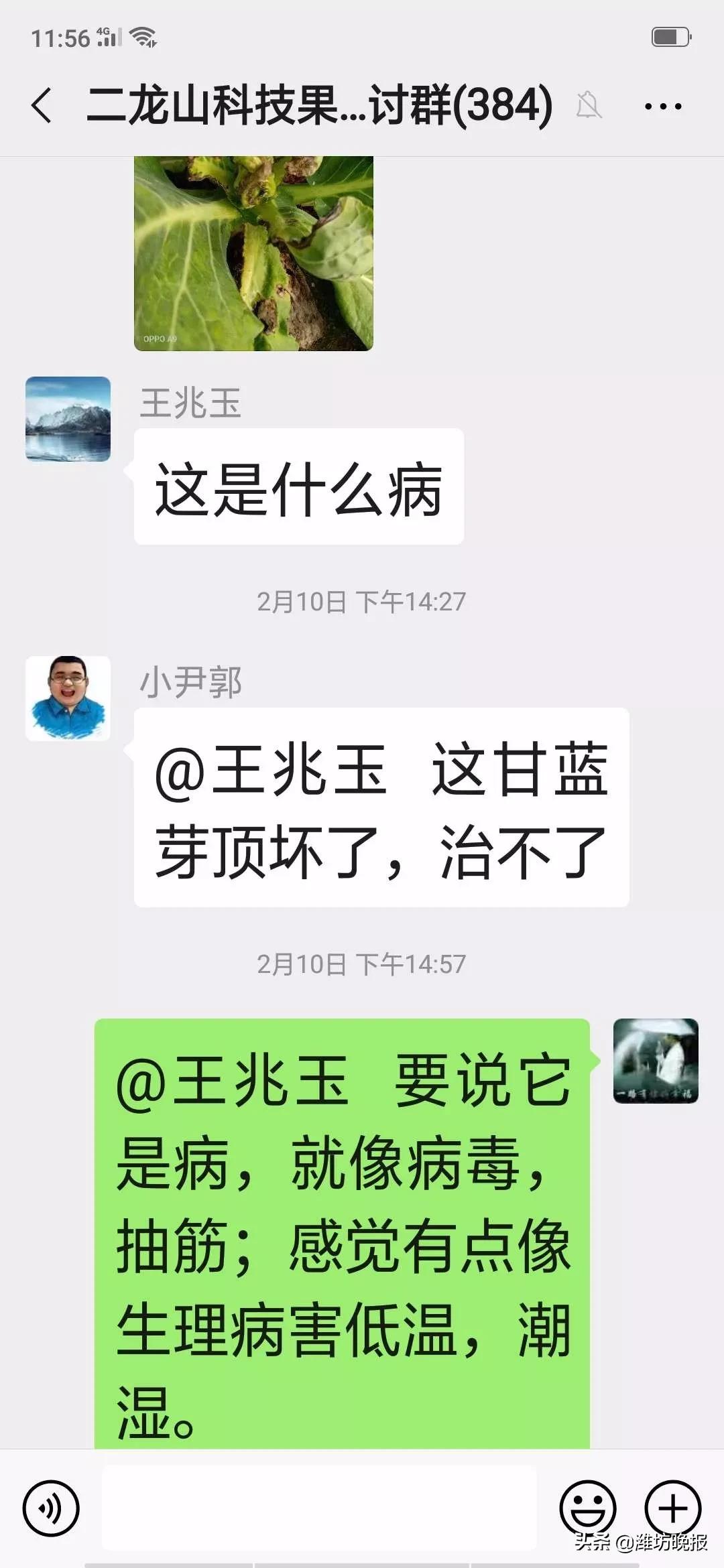 潍坊临朐:服务到地头农户恣心头