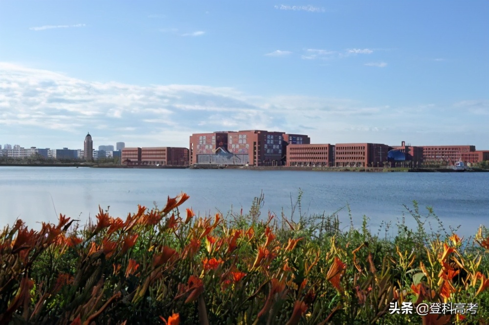 计算机专业有博士点的双非院校,计算机专业强劲的双非大学