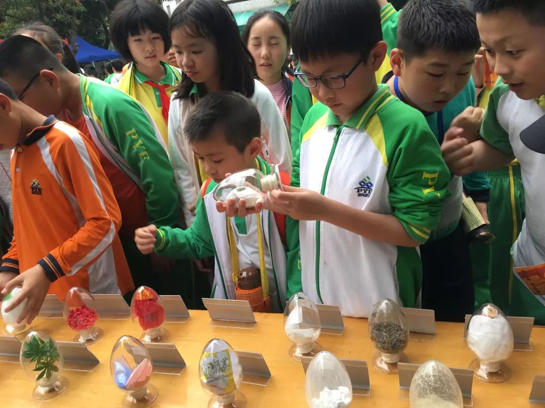 番禺｜春暖花开，洛溪新城小学同学比拼“飞花令”，上了生动一课