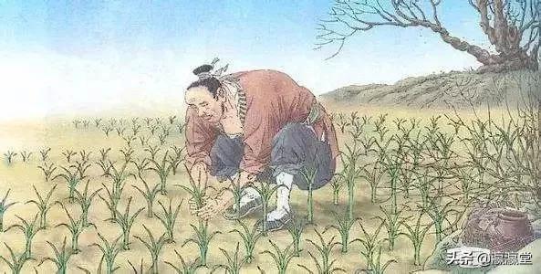 传承·阅古文|二年级内容