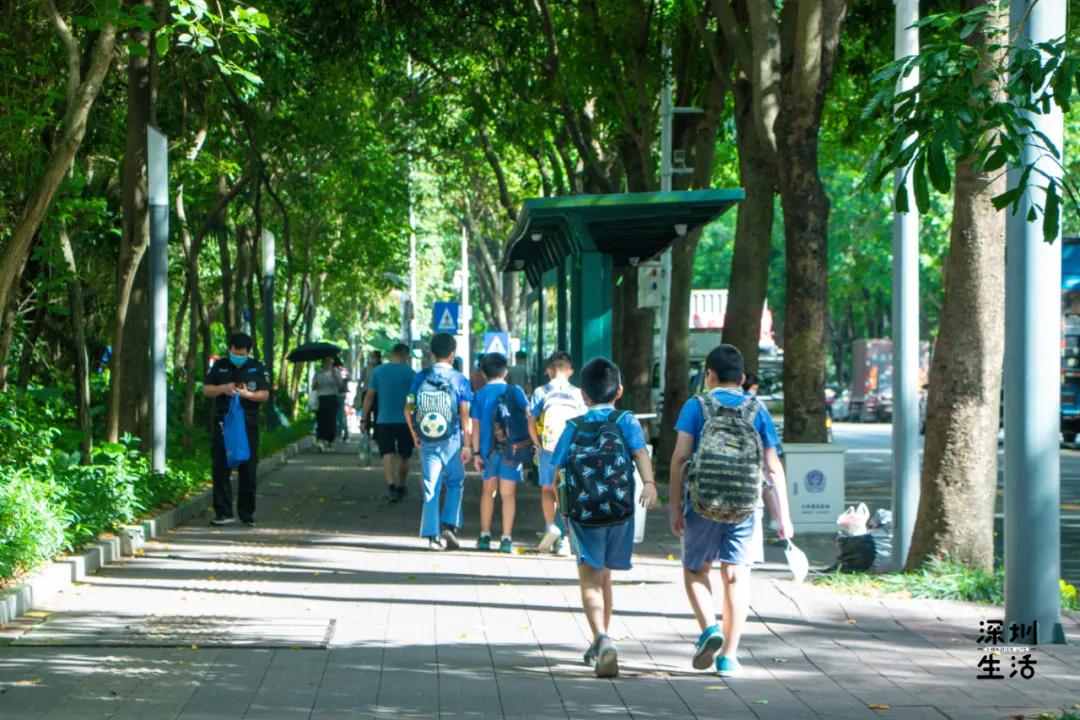 深圳西丽富人区小区有哪些,西丽宜居片区