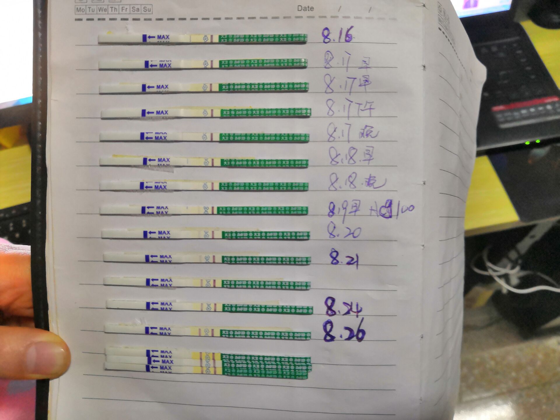 排卵试纸和早早孕测试是一样的么,排卵十天用排卵试纸能测出怀孕吗